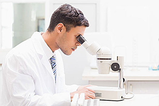 专注,科学家,看,培养皿,显微镜