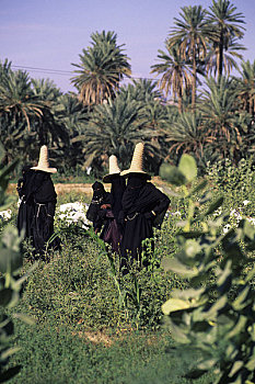 也门,旱谷,哈德拉毛,靠近,女人,帽子,放牧,山羊