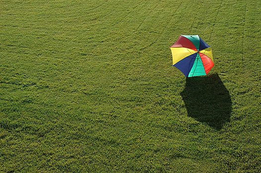 伞,绿色,草地,柏林,德国,欧洲