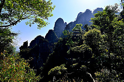 莲花山