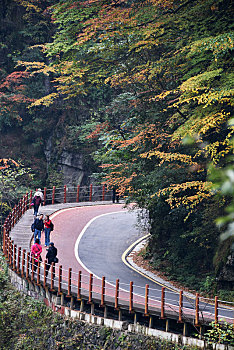 四川省光雾山风景区红叶景观吸引众多游客前往观赏难得一见的自然奇观