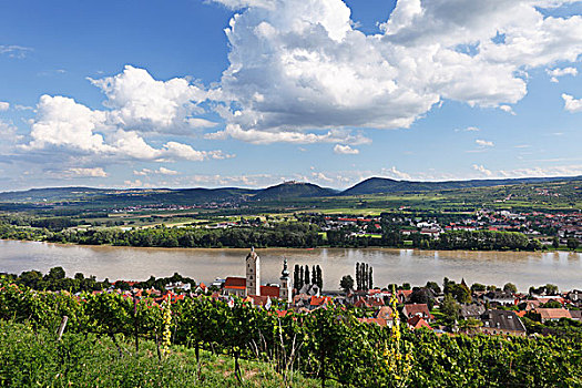 多瑙河,地区,教堂,背影,瓦绍,山谷,区域,下奥地利州,奥地利,欧洲
