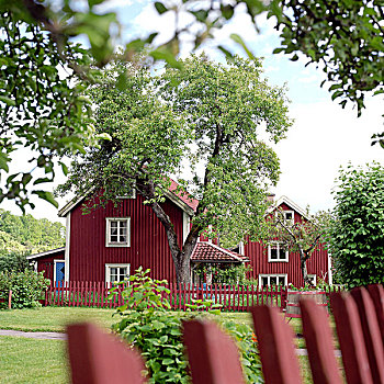 红色,瑞典,房子