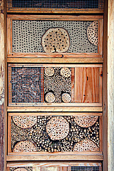 人造,窝,盒子,蜜蜂,昆虫,木头,粘土,接骨木,茎