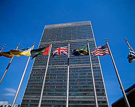 联合国,总部,旗帜,纽约