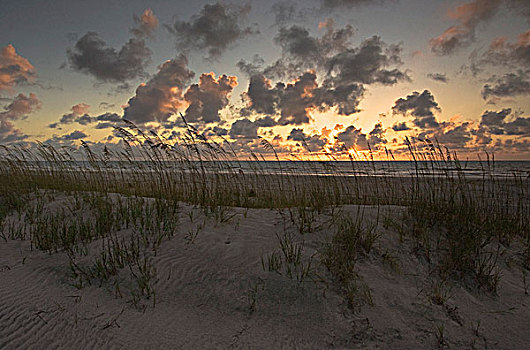 海滩,日落,州立公园,佛罗里达,美国