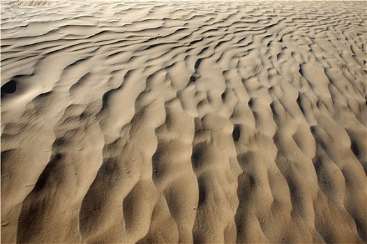 沙子,撒哈拉沙漠