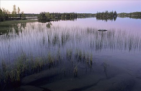 湖,加拿大西北地区,加拿大