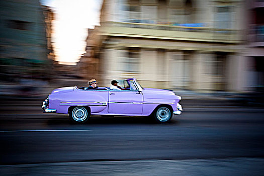 两个人,驾驶,粉色,汽车,城市街道,哈瓦那,古巴