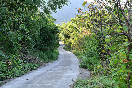 农村道路