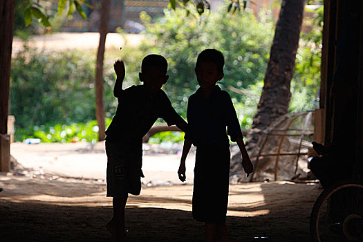 柬埔寨,收获,两个,孩子,男孩