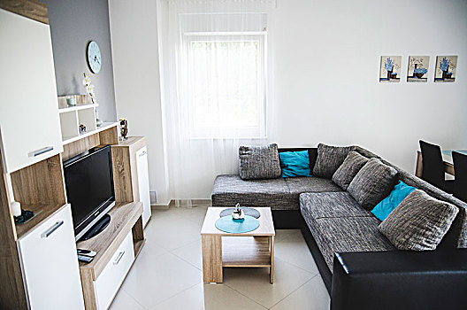 鲜明,现代,客厅,沙发,家具