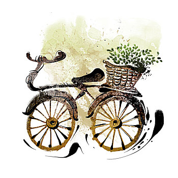 自行车,盆栽