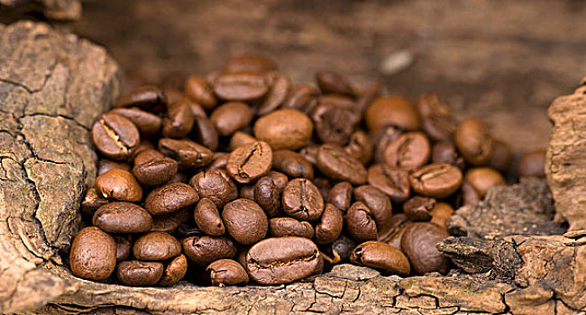 咖啡豆,木质,表面