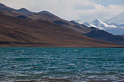 西藏羊卓雍措美景