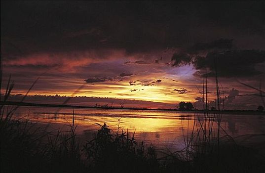 湖,日落,阴天,晚间,气氛,博茨瓦纳,非洲