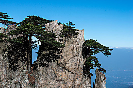 中国黄山,huang,shan,china