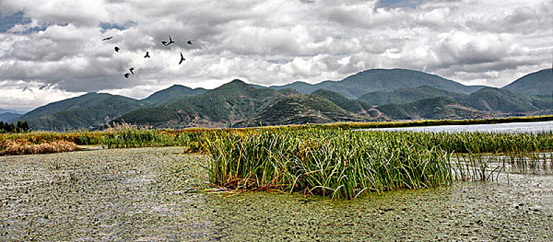 泸沽湖风光