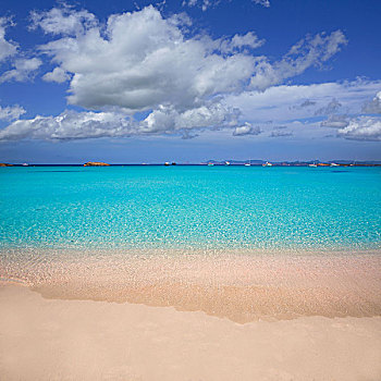 青绿色,海滩,福门特拉岛,巴利阿里群岛,岛屿