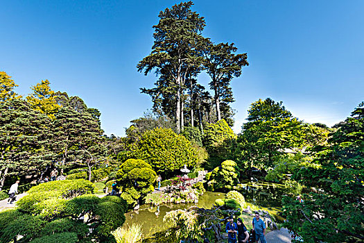 日本茶,花园,金门公园,旧金山,加利福尼亚,美国,北美