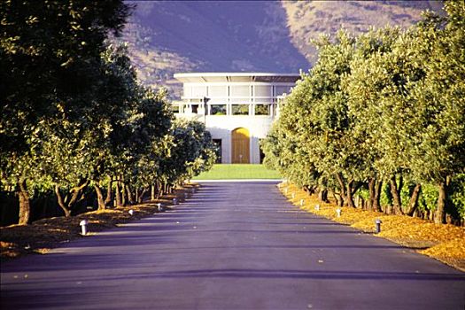 葡萄酒厂,那帕山谷,加利福尼亚