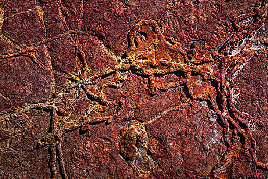 特写,铁矿,脉络,环,卡巴里国家公园,西澳大利亚州,澳大利亚