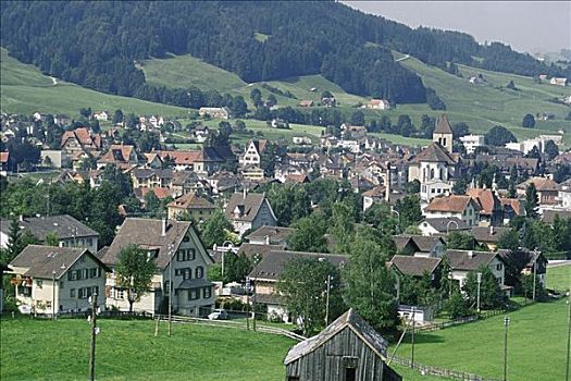俯拍,房子,乡村,瑞士