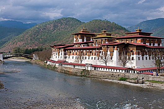 寺院,水岸,普那卡,不丹