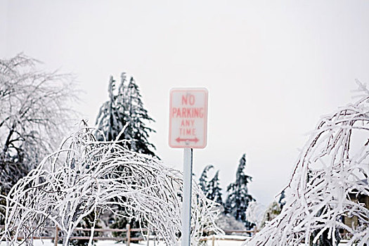 威拉梅特谷,俄勒冈,美国,禁止停车,标识,遮盖,冰,重,风暴