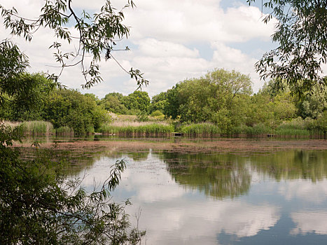 英国,湖,场景,晴天