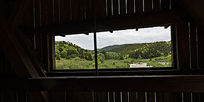 树林,窗户,风雨桥,芬地湾国家公园,新布兰斯维克,加拿大