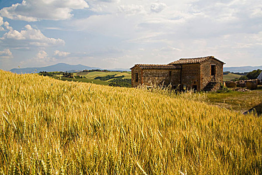 意大利,托斯卡纳,别墅,小麦