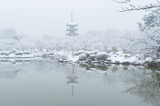 武汉冬日雪景风光