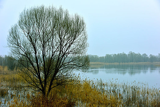 长治湿地