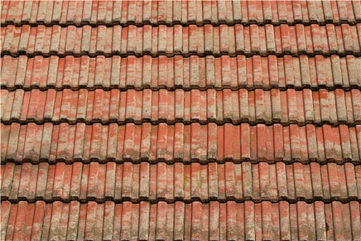 红色,瓷砖,屋顶