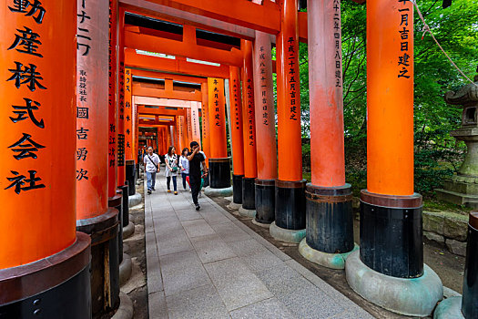 日本京都伏见稻荷大社千本鸟居风光