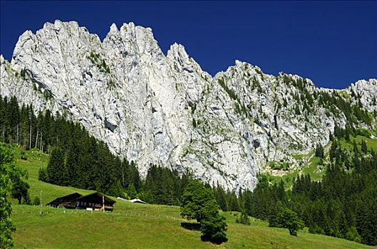 山峦,山脉,阿尔卑斯山,瑞士