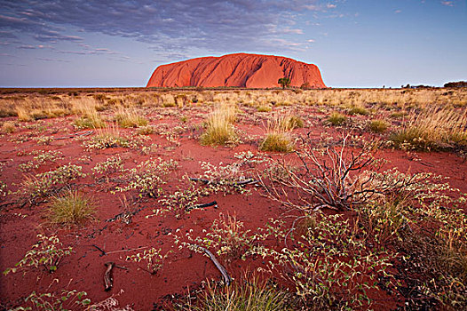 澳大利亚,北领地州,乌卢鲁卡塔曲塔国家公园,红色,沙漠,围绕,艾尔斯岩,黄昏,夏天,晚间