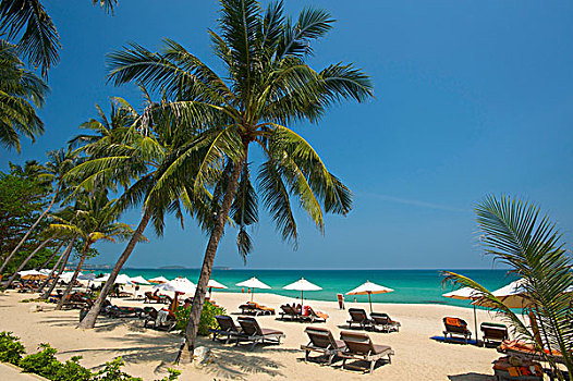 棕榈海滩,海滩,苏梅岛,岛屿,泰国,亚洲