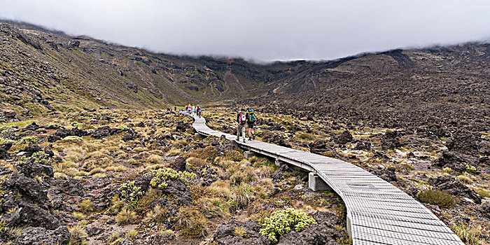 远足,走,小路,汤加里罗,高山,穿过,多云天气,国家公园,北岛,新西兰