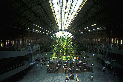 热带雨林,形态,桌面摆饰,等候区,阿特卡火车站,马德里