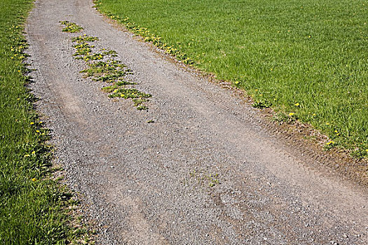 砾石,道路,草地