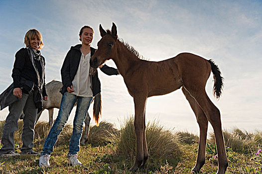 女孩,宠物,小马,站立,母亲,安达卢西亚,西班牙