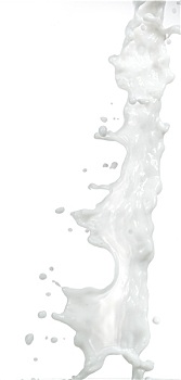 牛奶,溅,白色背景,背景