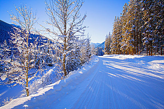 雪路