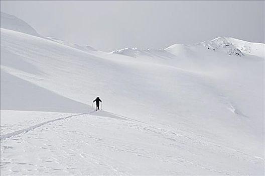 边远地区,滑雪者,不列颠哥伦比亚省,加拿大