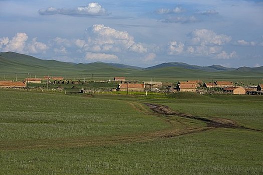 乡村,草地,内蒙古,中国