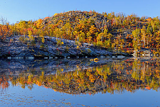 彩色,秋天,反射,海狸塘,萨德伯里,安大略省,加拿大