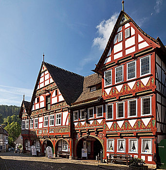 市政厅,森林,北莱茵威斯特伐利亚,德国,欧洲
