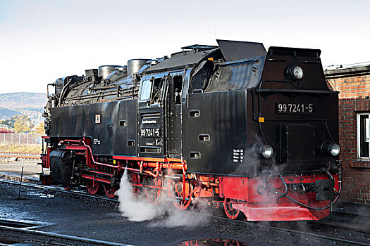 蒸汽机车,车站,哈尔茨山,狭窄,计量器,铁路,萨克森安哈尔特,德国,欧洲
